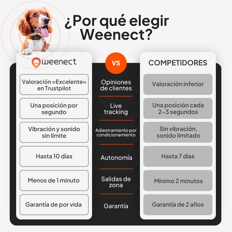 XS Dogs Blanc ES 2026 8