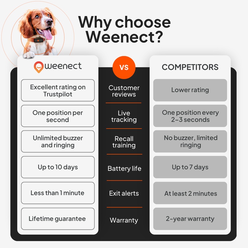 XS Dogs Blanc US 2026 8