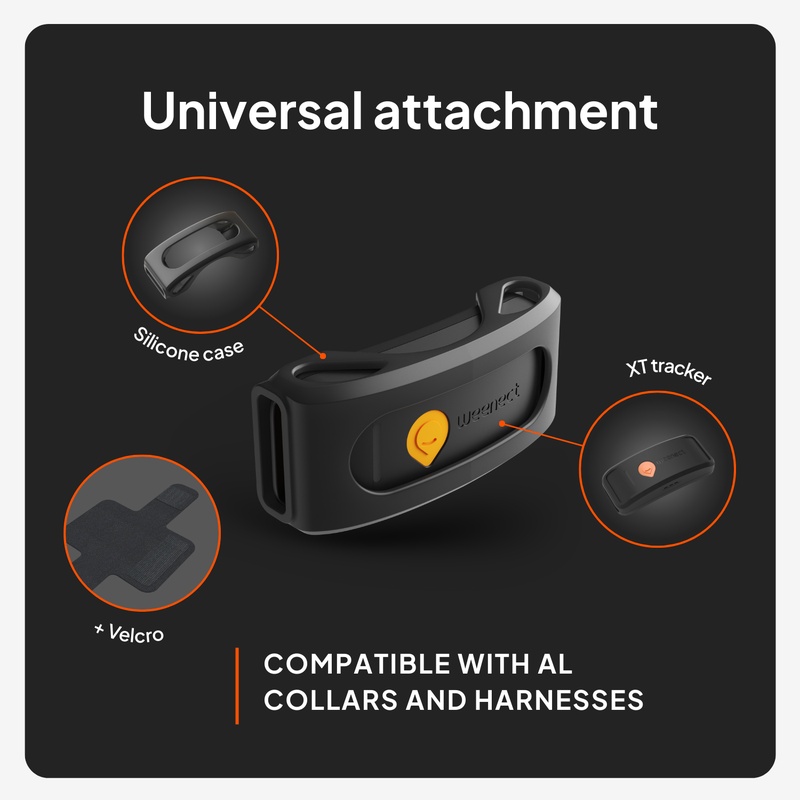 Weenect XT Sans collier Noir UK 2026 6