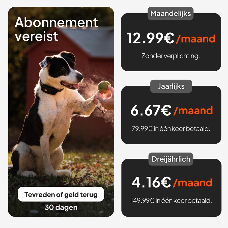 Weenect XT Noir NL 2026 5