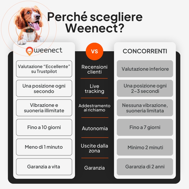 XS Dogs Blanc IT 2026 8