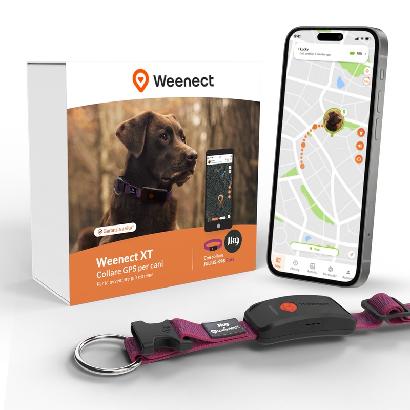Weenect XT Pink IT V2