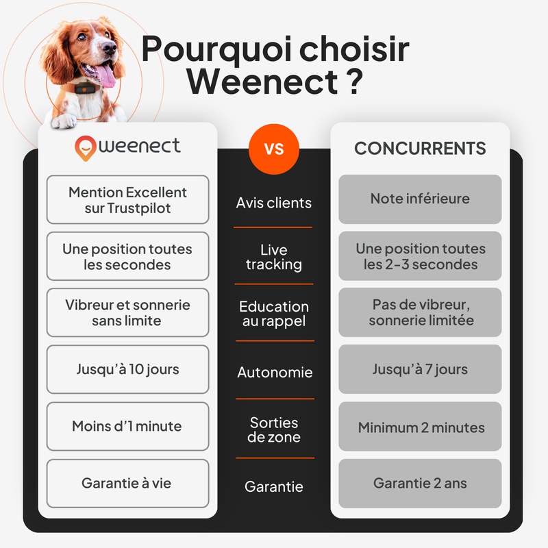 XS Dogs Noir FR 2026 8