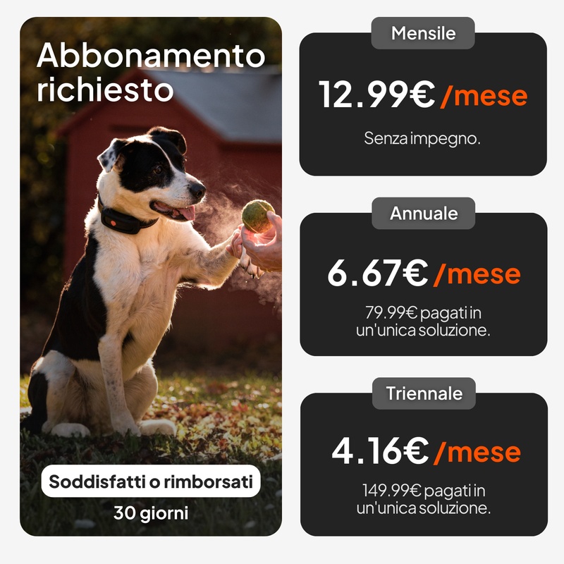 Weenect XT Blue IT 2026 5