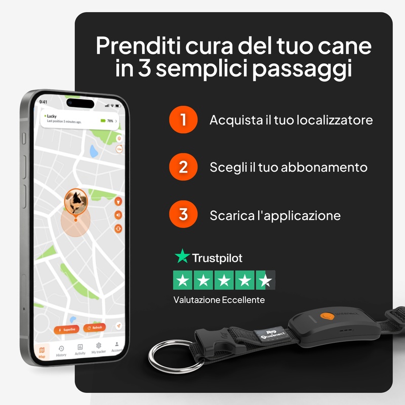 Weenect XT Noir IT 2026 6