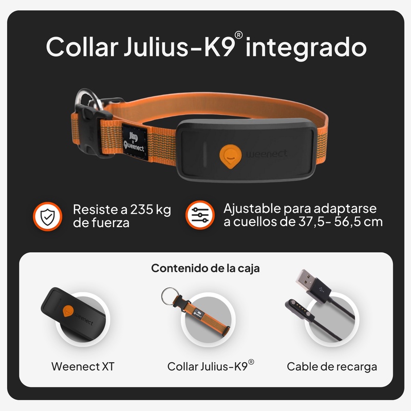 Weenect XT Orange ES 2026  7