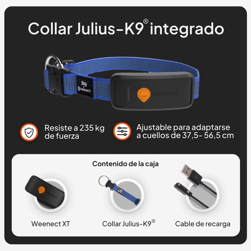 Weenect XT Blue ES 2026 7