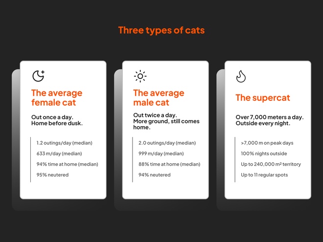 types of cats