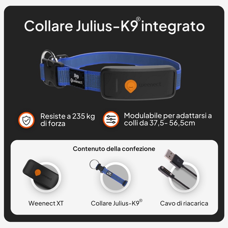 Weenect XT Blue IT 2026 7