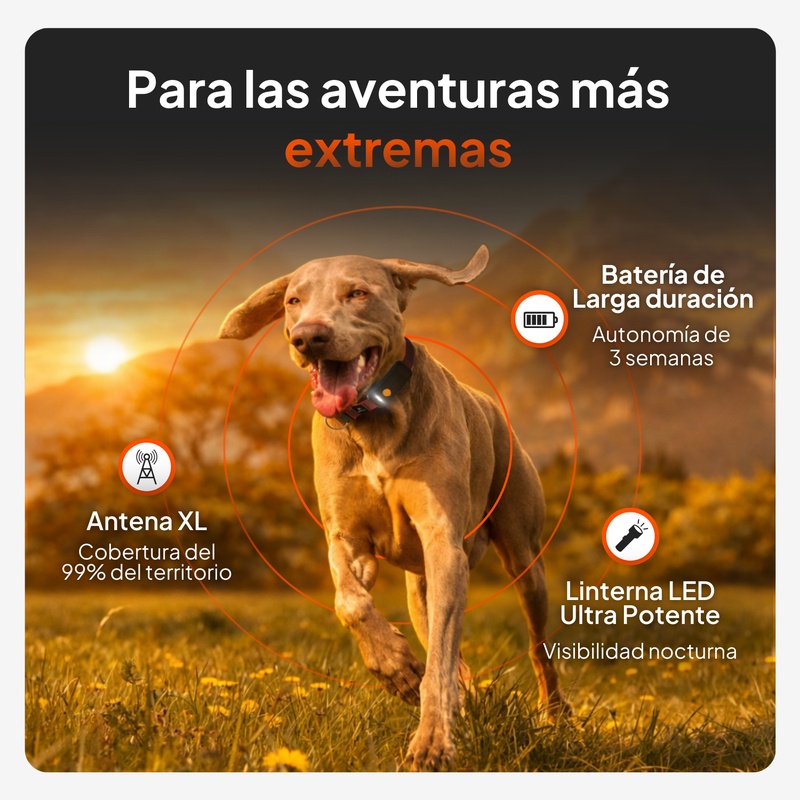 Weenect XT Pink ES 2026 9