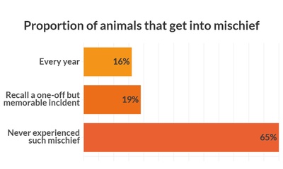 chart illustrating the data above