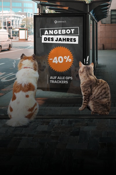 2025-Black-Week-Slider-Mobile-DE