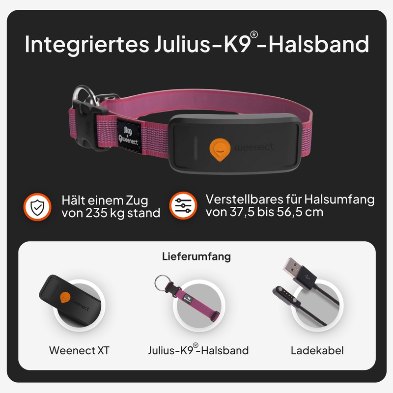 Weenect XT Pink DE 2026 7