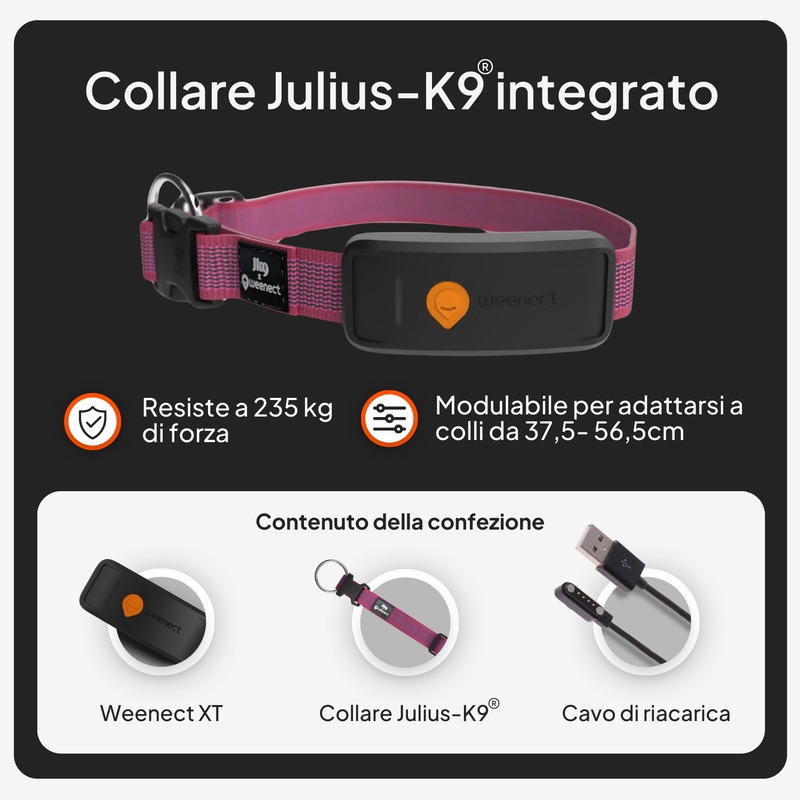 Weenect XT Pink IT 2026 7