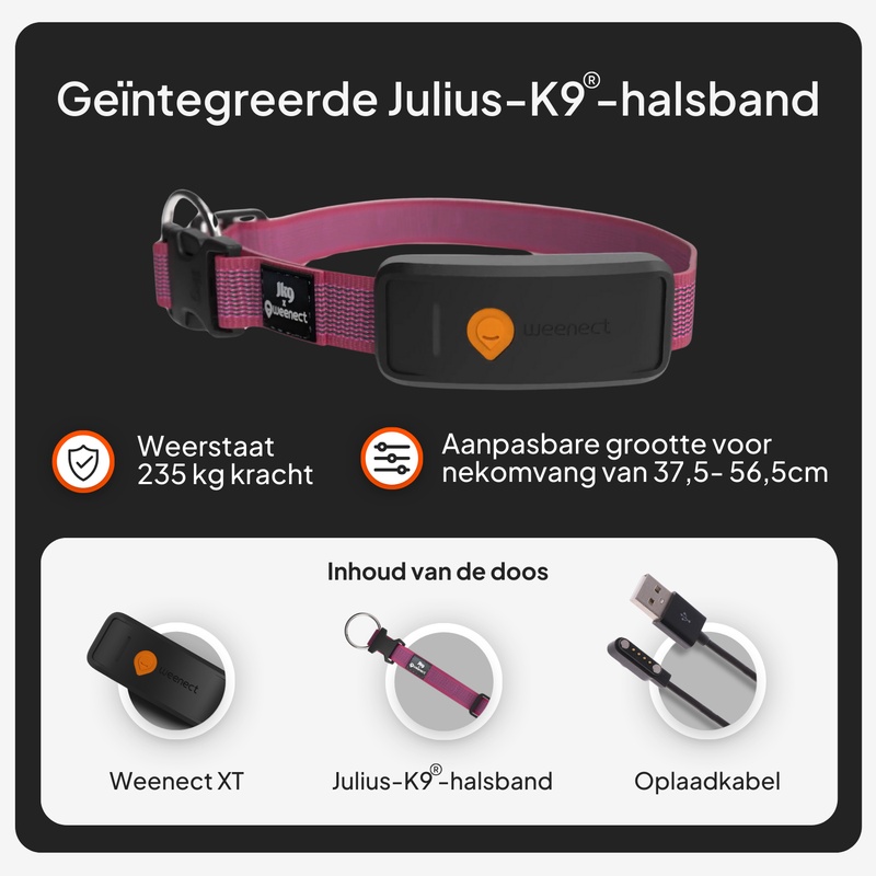 Weenect XT Pink NL 2026 7