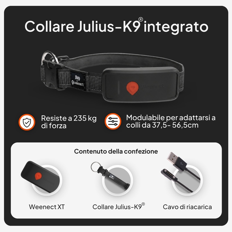 Weenect XT Noir ES 2026 V2 5