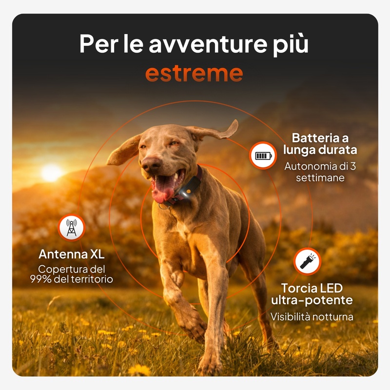 Weenect XT Noir IT 2026 9