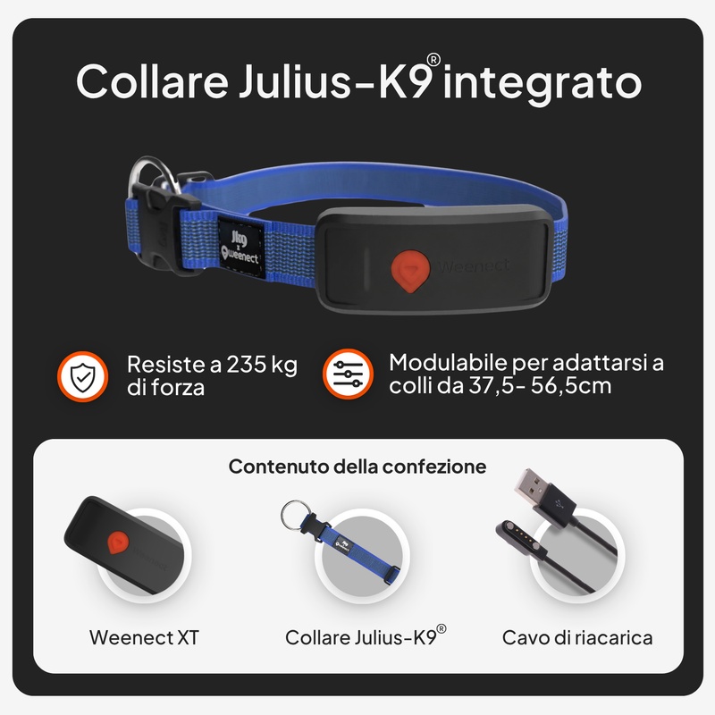 Weenect XT Blue IT V2 4