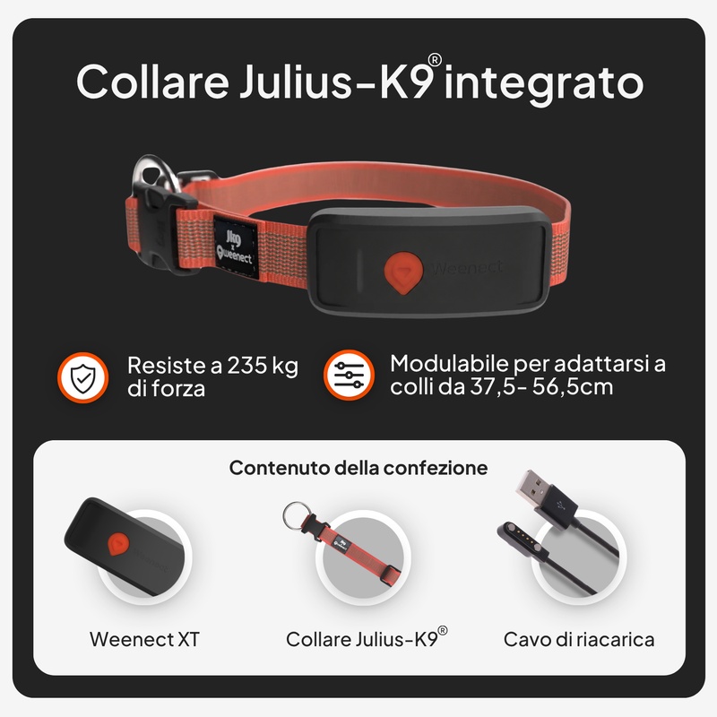 Weenect XT Rouge ES 2026 V2 4