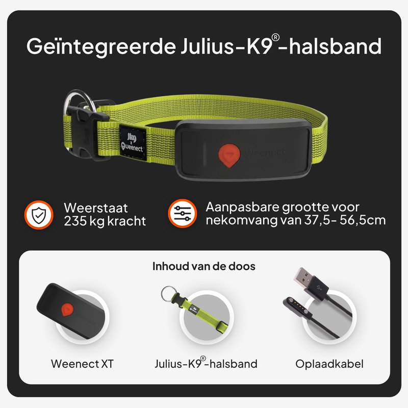 Weenect XT Yellow NL V2 4