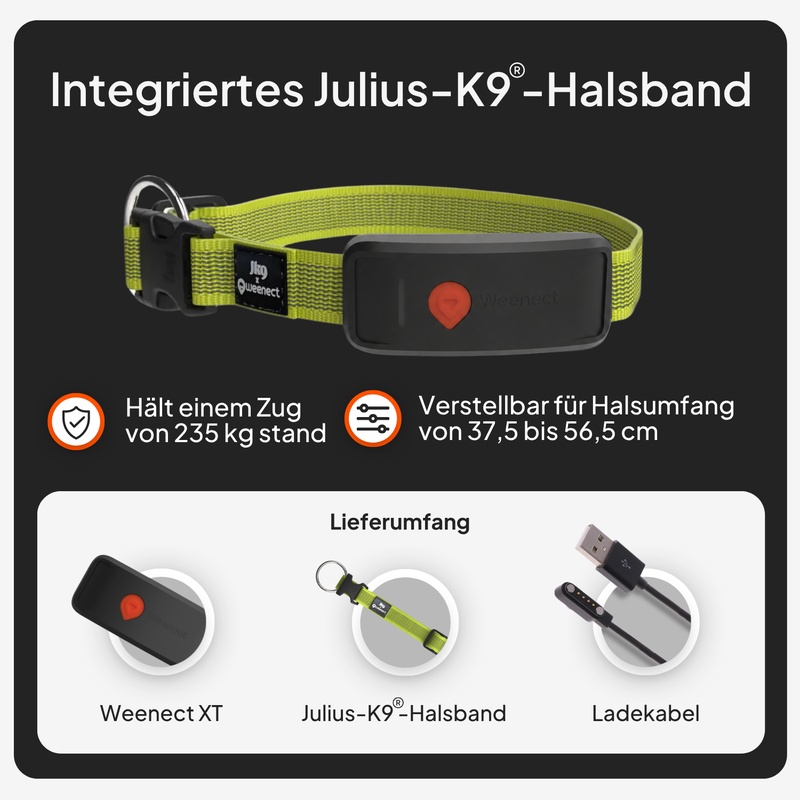 Weenect XT Yellow DE V2