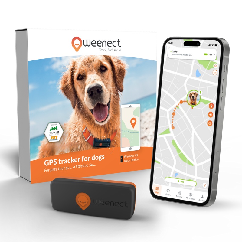 XS Dogs Noir US 2026