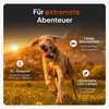 Weenect XT Sans collier Noir DE 2026 5