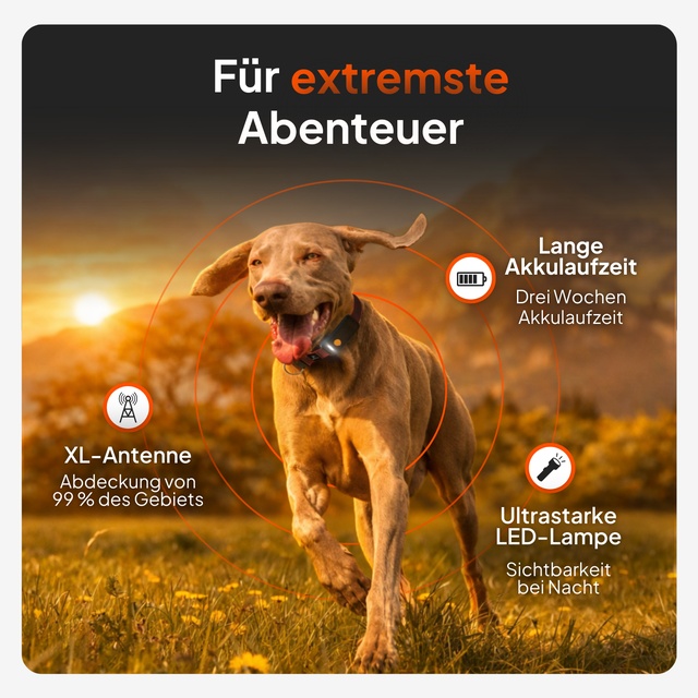 Weenect XT Sans collier Noir DE 2026 5