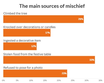 chart illustrating the data above