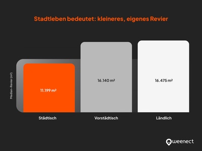 stadtleben