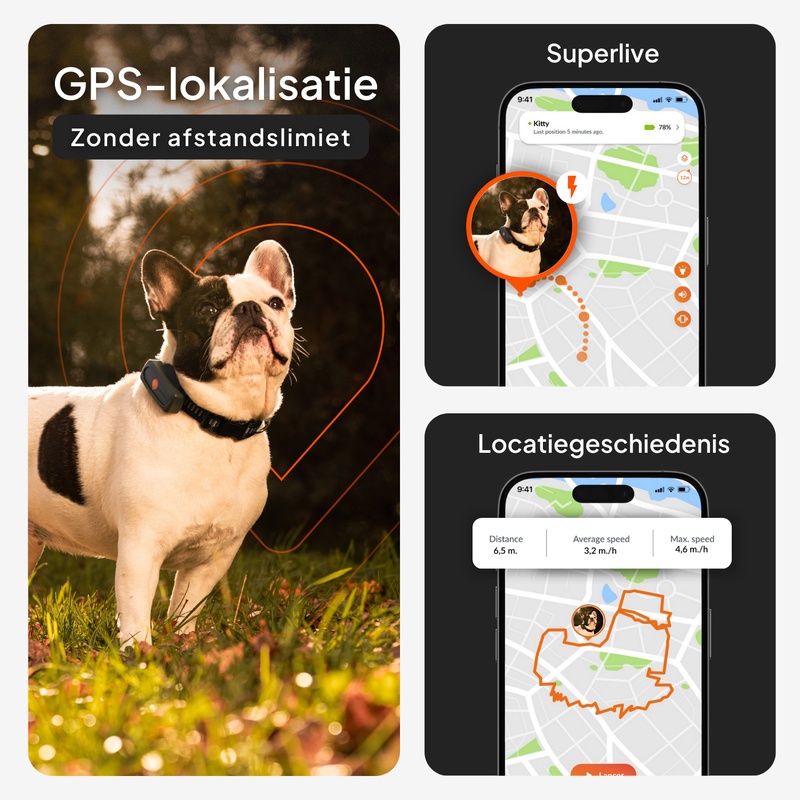 XS Dogs Noir NL 2026 2