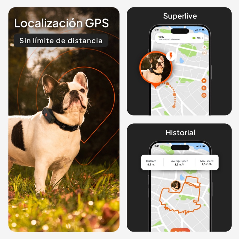 XS Dogs Noir ES 2026 2