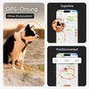 Hund mit dem Weenect XT GPS-Tracker, mit Vorschau der Echtzeit-GPS-Ortung und des Standortverlaufs in der App