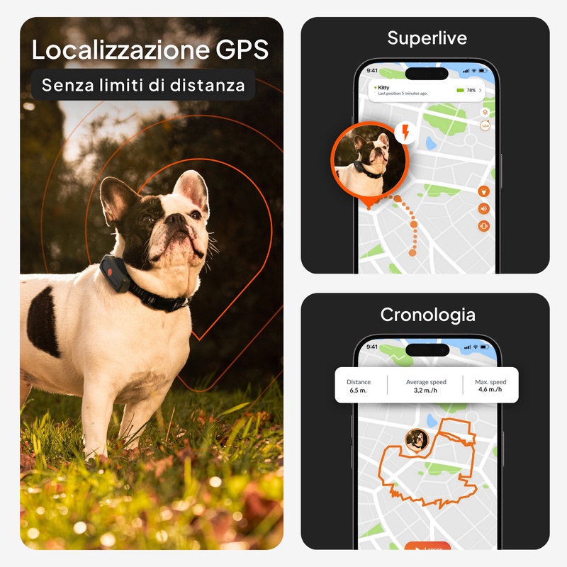 XS Dogs Blanc IT 2026 2