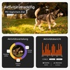 Hund mit dem Weenect XT GPS-Tracker im Wald, mit Vorschau der Aktivitätsverfolgung und Statistiken in der App