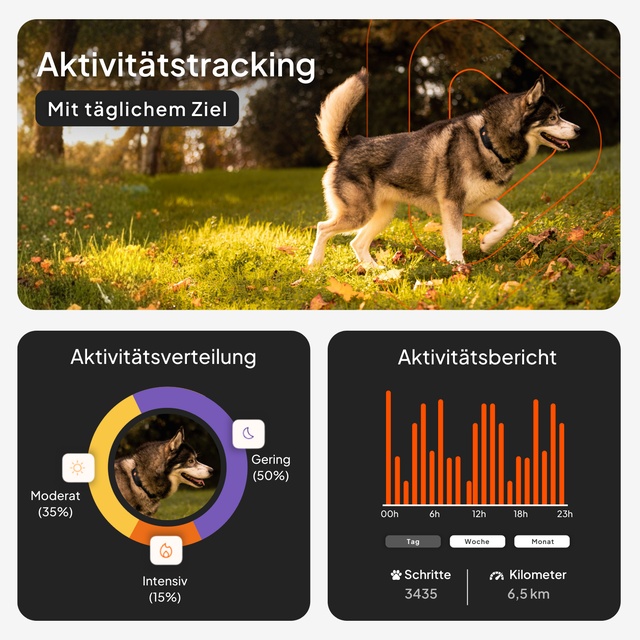 Hund mit dem Weenect XT GPS-Tracker im Wald, mit Vorschau der Aktivitätsverfolgung und Statistiken in der App