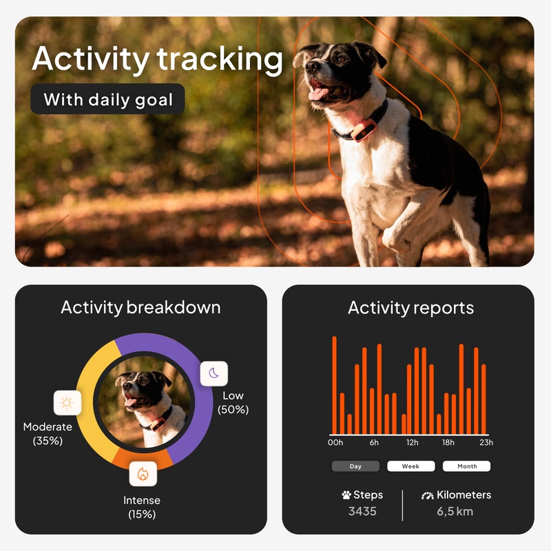 XS Dogs Noir US 2026 3