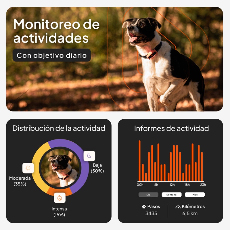 XS Dogs Noir ES 2026 3