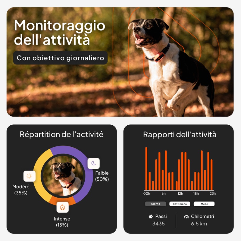 XS Dogs Noir IT 2026 3