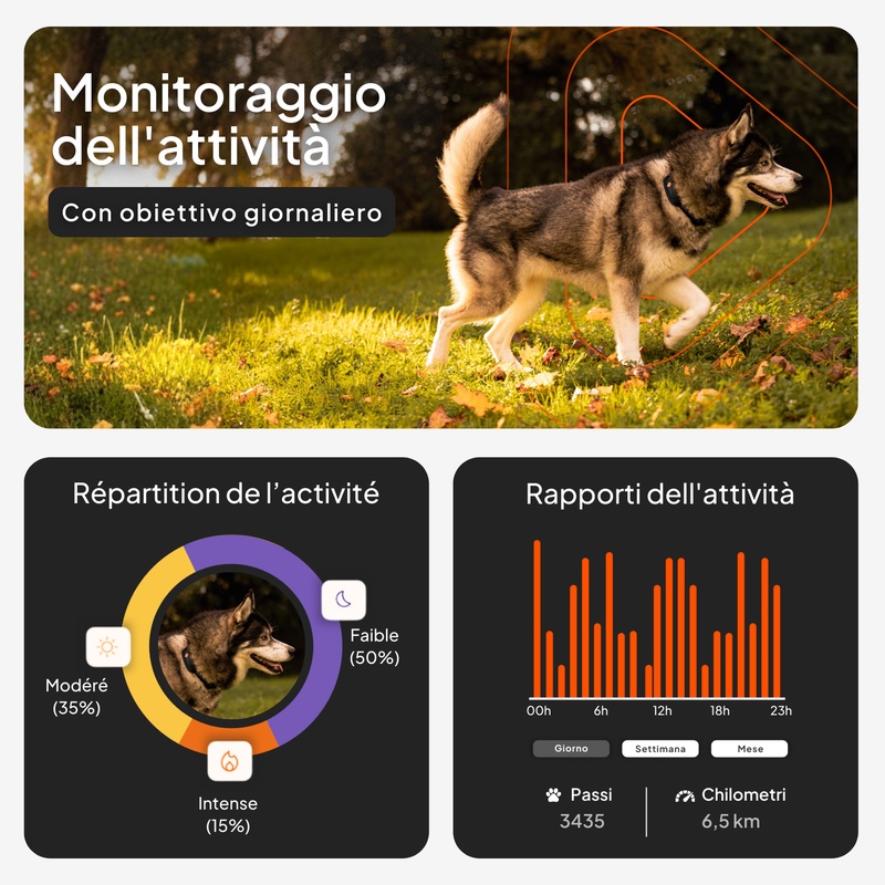 Weenect XT Sans collier Noir IT 2026 3