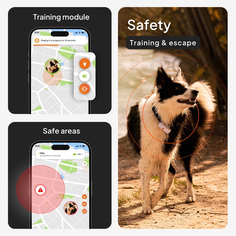 XS Dogs Blanc US 2026 4