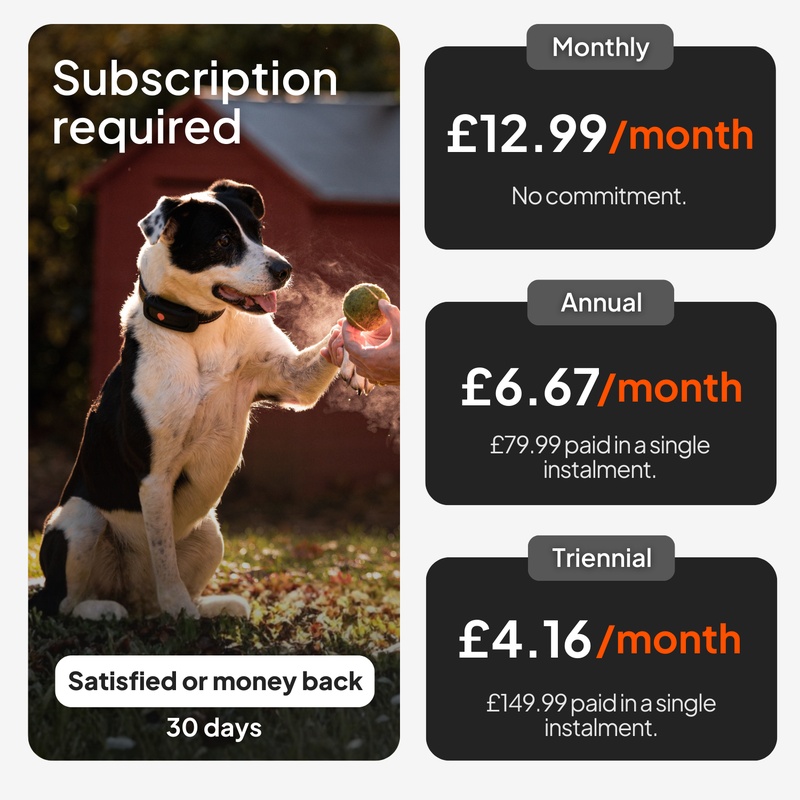 Weenect XT Sans collier Noir UK 2026 7