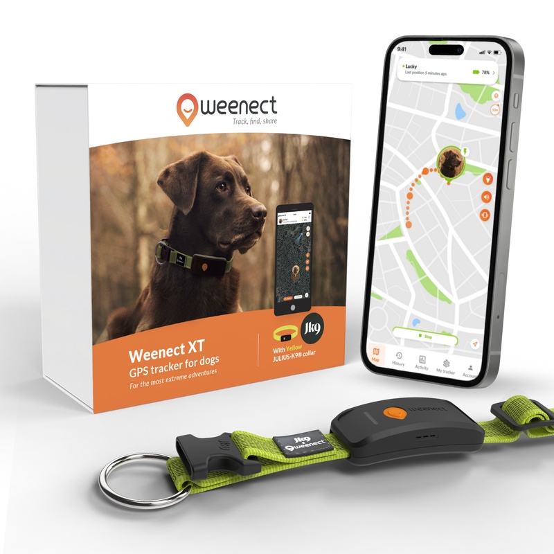 Weenect XT Yellow US 2026
