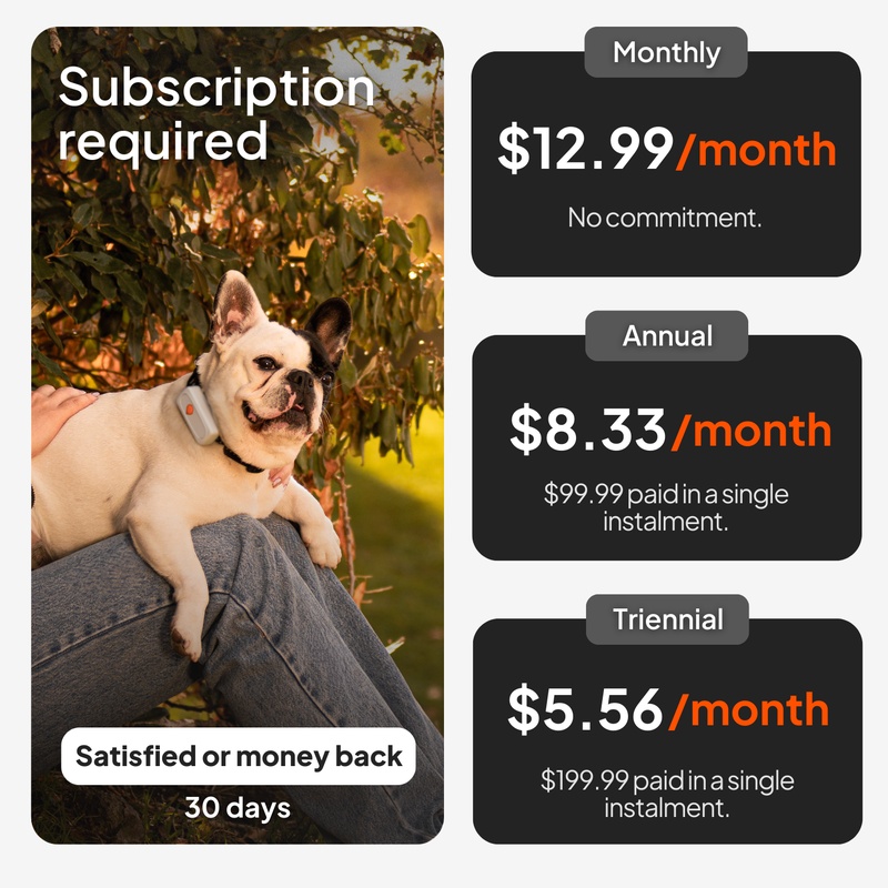 XS Dogs Blanc US 2026 5