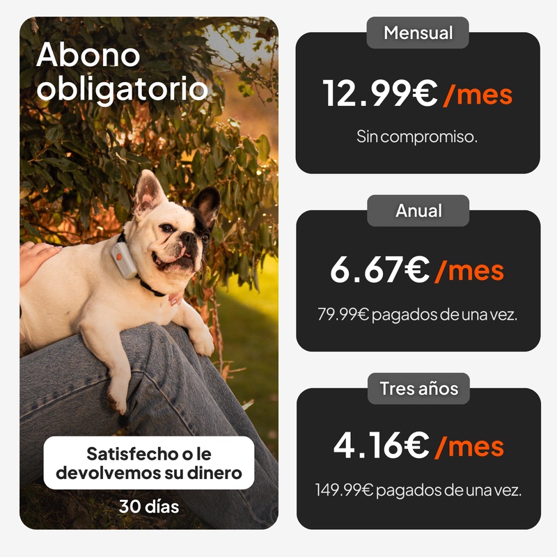 XS Dogs Blanc ES 2026 5