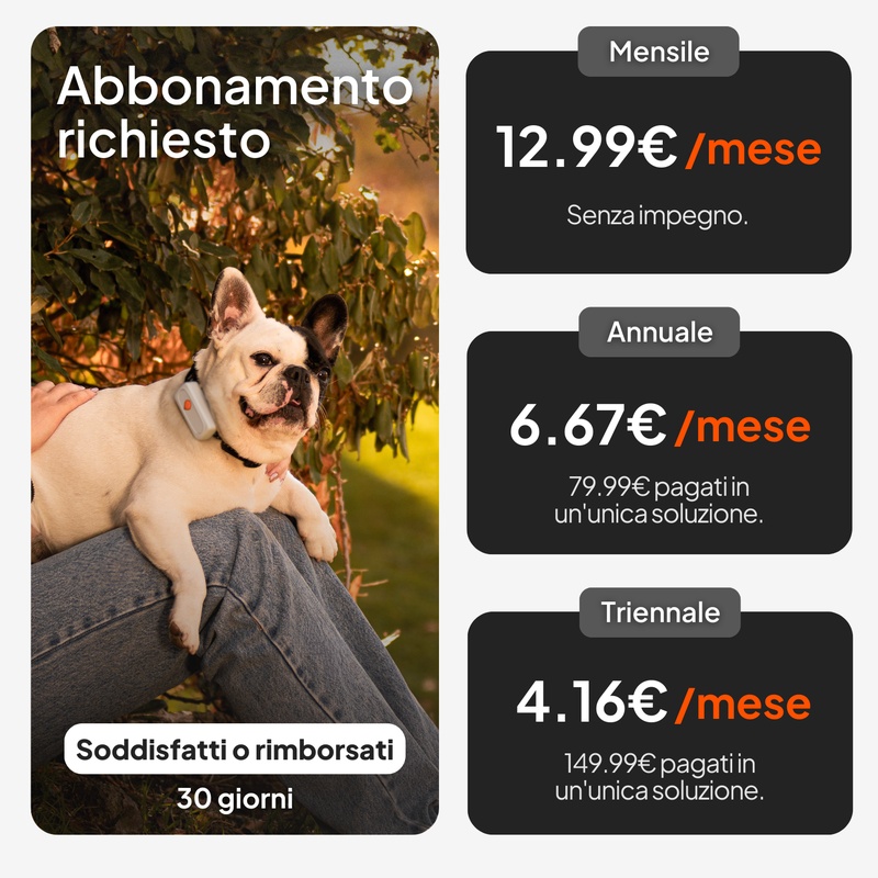 XS Dogs Blanc IT 2026 5