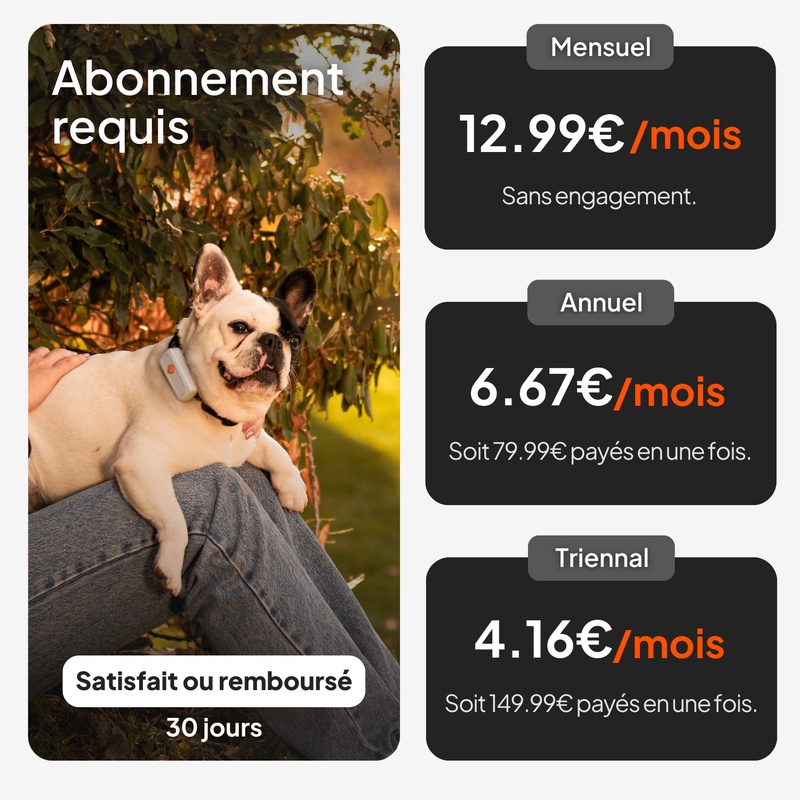 XS Dogs Noir FR 2026 5