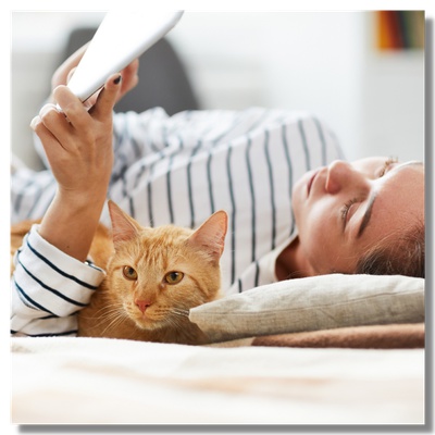 A reading woman with a cat