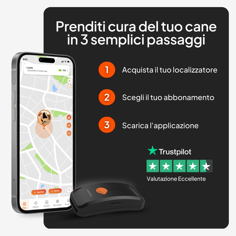 Weenect XT Sans collier Noir IT 2026 8