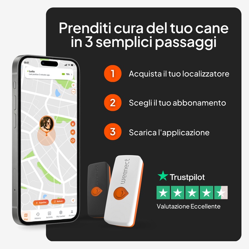 XS Dogs Blanc IT 2026 6